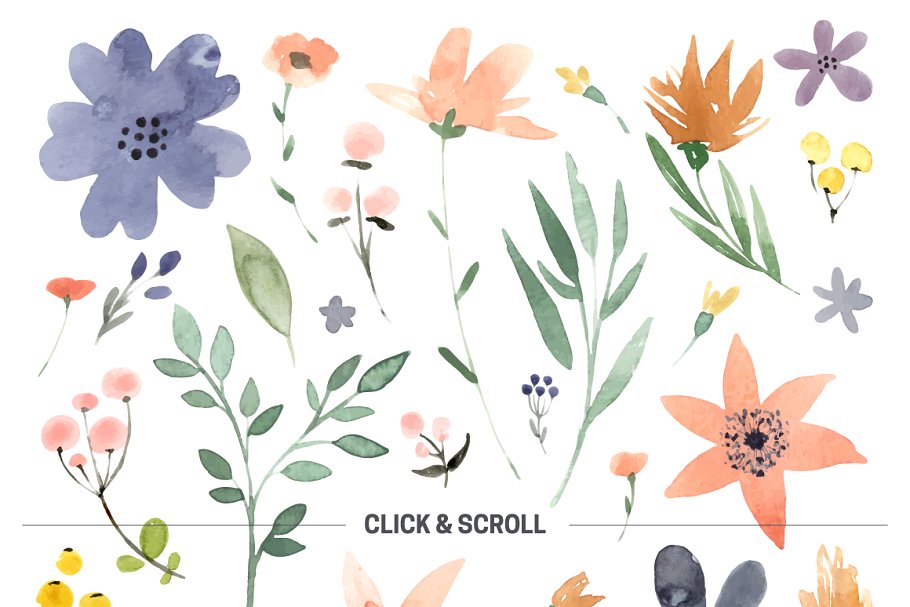 DIY水彩花叶系列元素合集 123 DIY Watercolor Flowers (EPS,PNG)插图(1)