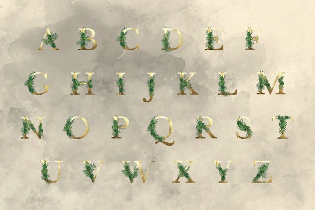 奇幻森林元素手绘插画元素合集 Forest Illustrations Graphics Kit插图(11)