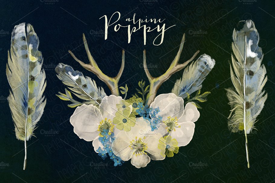 水彩阿尔卑斯罂粟花卉花环 Watercolor wreath alpine poppy dark插图(2)