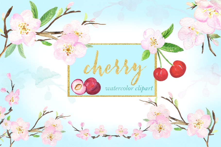 甜美的手绘樱桃樱花水彩剪贴画 Cherry flowers. Waterolor clipart.插图