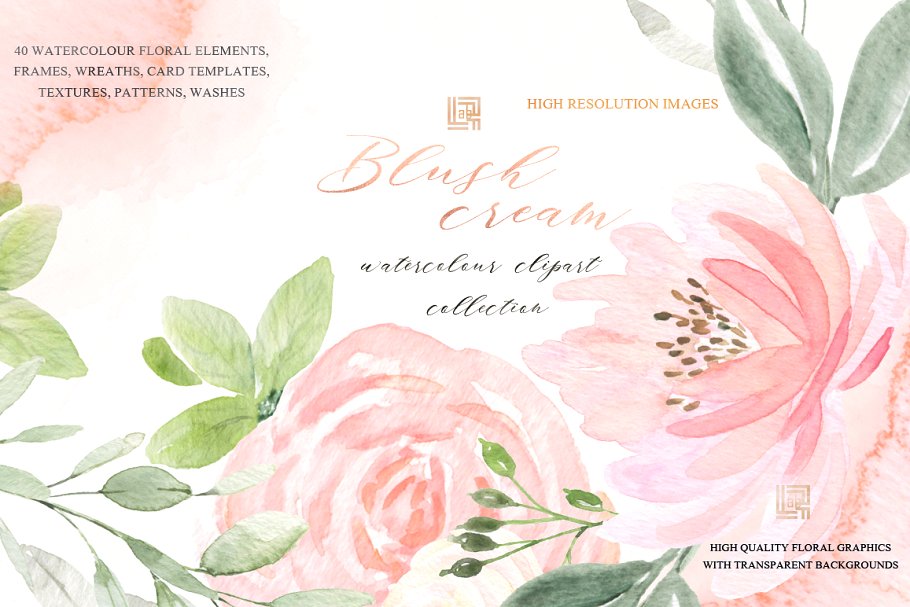 胭脂红水彩花卉水彩 Blush cream. Femenine flowers插图(4)