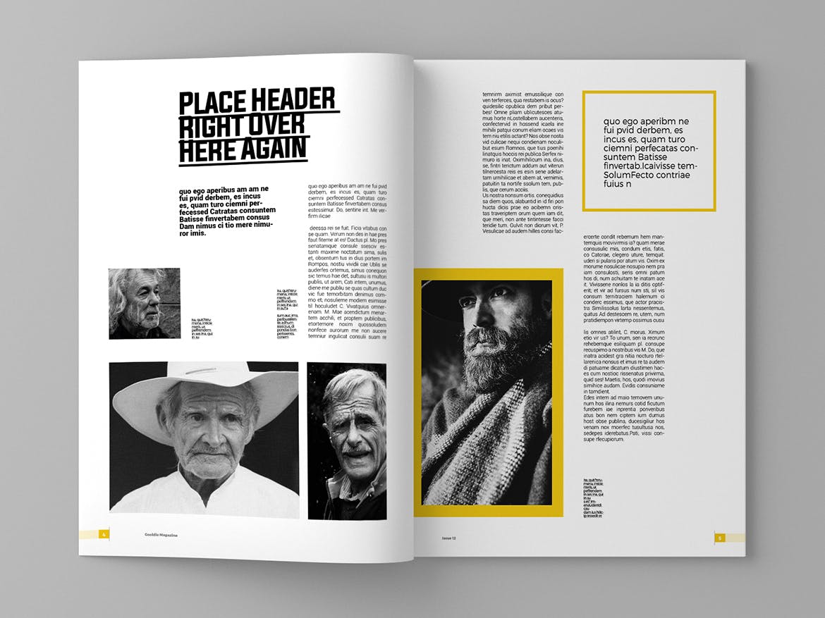 新闻采访/人物杂志设计INDD模板 Gooldie – Magazine Template插图(3)