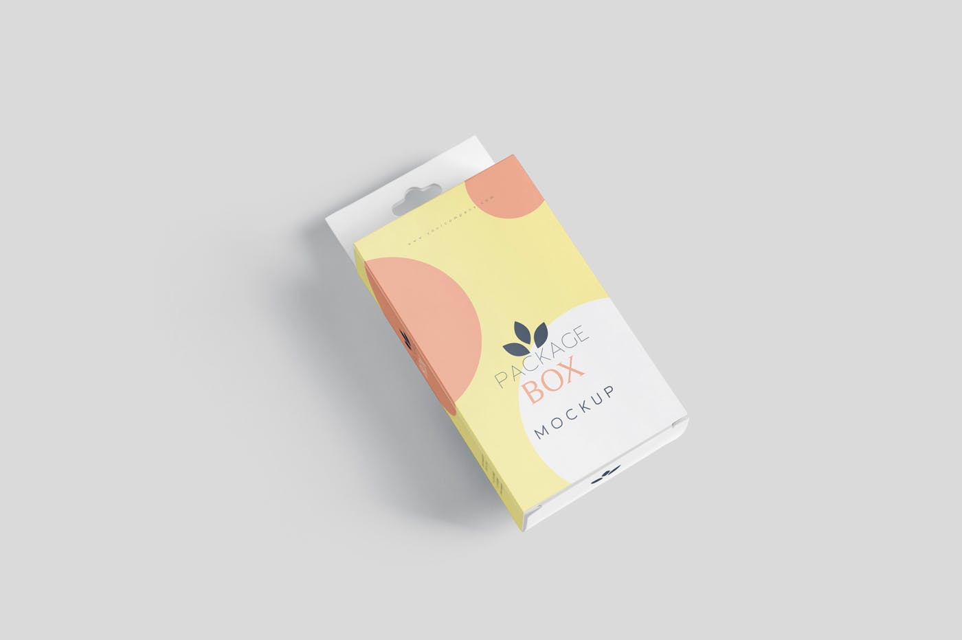 带挂耳设计扁平矩形产品包装盒效果图素材库精选 Package Box Mockup Set- Flat Rectangle with Hanger插图(2)