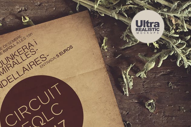 花卉装饰场景海报设计样机模板 Vintage Flowers Duo插图(6)