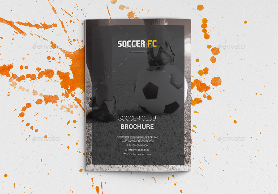 多用途足球俱乐部特色小册子插图(17)