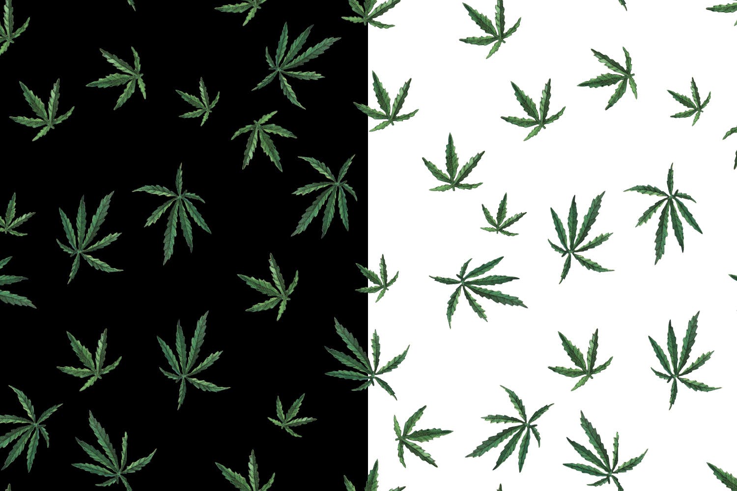 大麻叶子高清图案背景素材库精选 Cannabis Patterns插图(1)