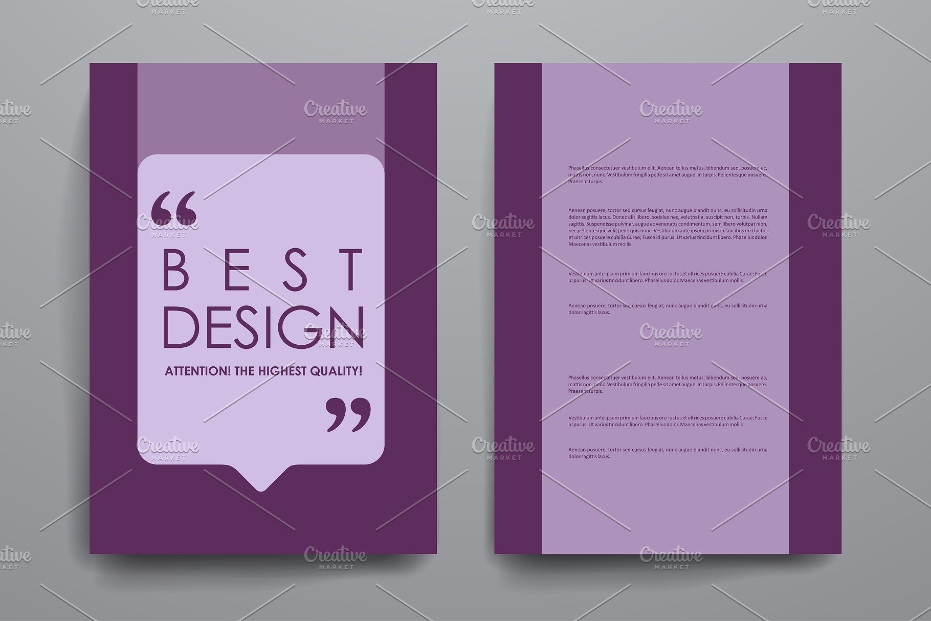 质朴简约宣传海报画册模板 Set of Beautiful Brochures插图(2)