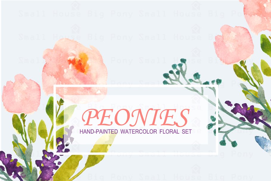 牡丹花水彩剪贴画 Peonies- Watercolor Clip Art Set插图(2)