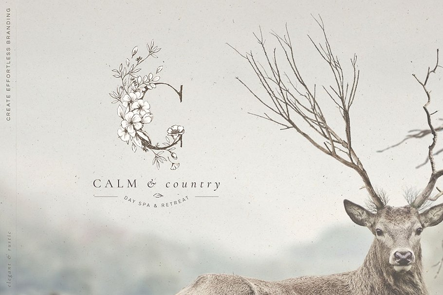 乡土气息植物、手绘字体&花卉字体 Botanical Illustrations & Monograms插图(14)