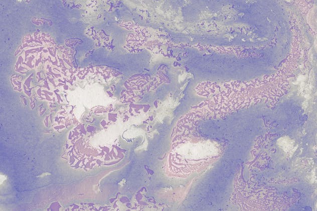 大理石涂料水彩纹理套装V2 Marble Ink Textures 2插图(7)