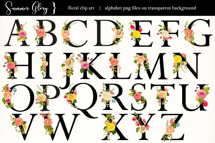 复古盛夏花卉主题素材合集 Floral Clip Art – Summer Glory插图(5)