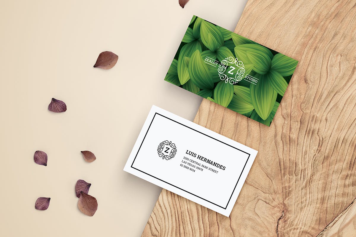 现代简约风格企业品牌素材库精选名片模板 Business Card插图