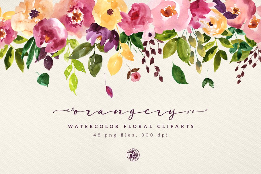橘园水彩花卉剪贴画 Orangery Watercolor Flowers插图