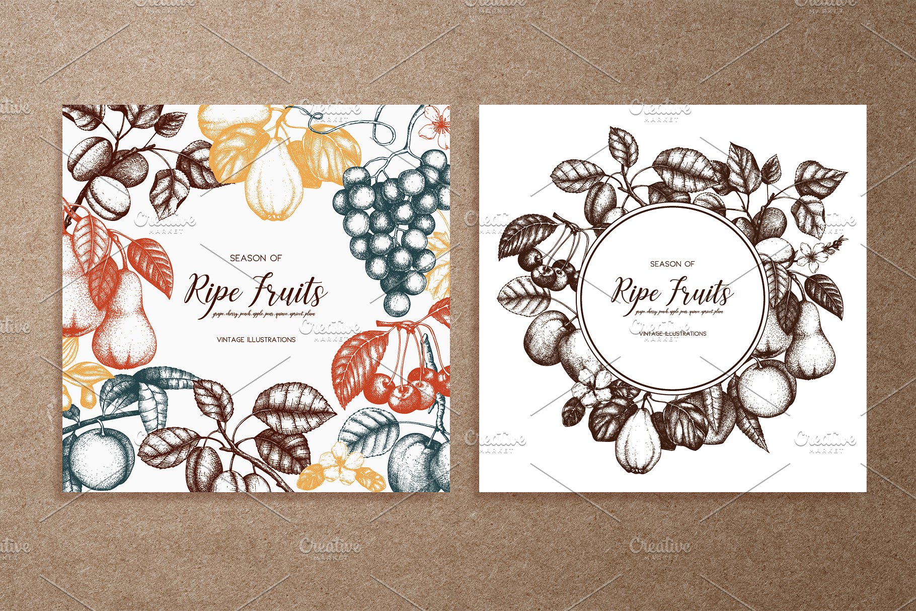 成熟水果矢量插图 Vector Ripe Fruits Illustrations插图(4)