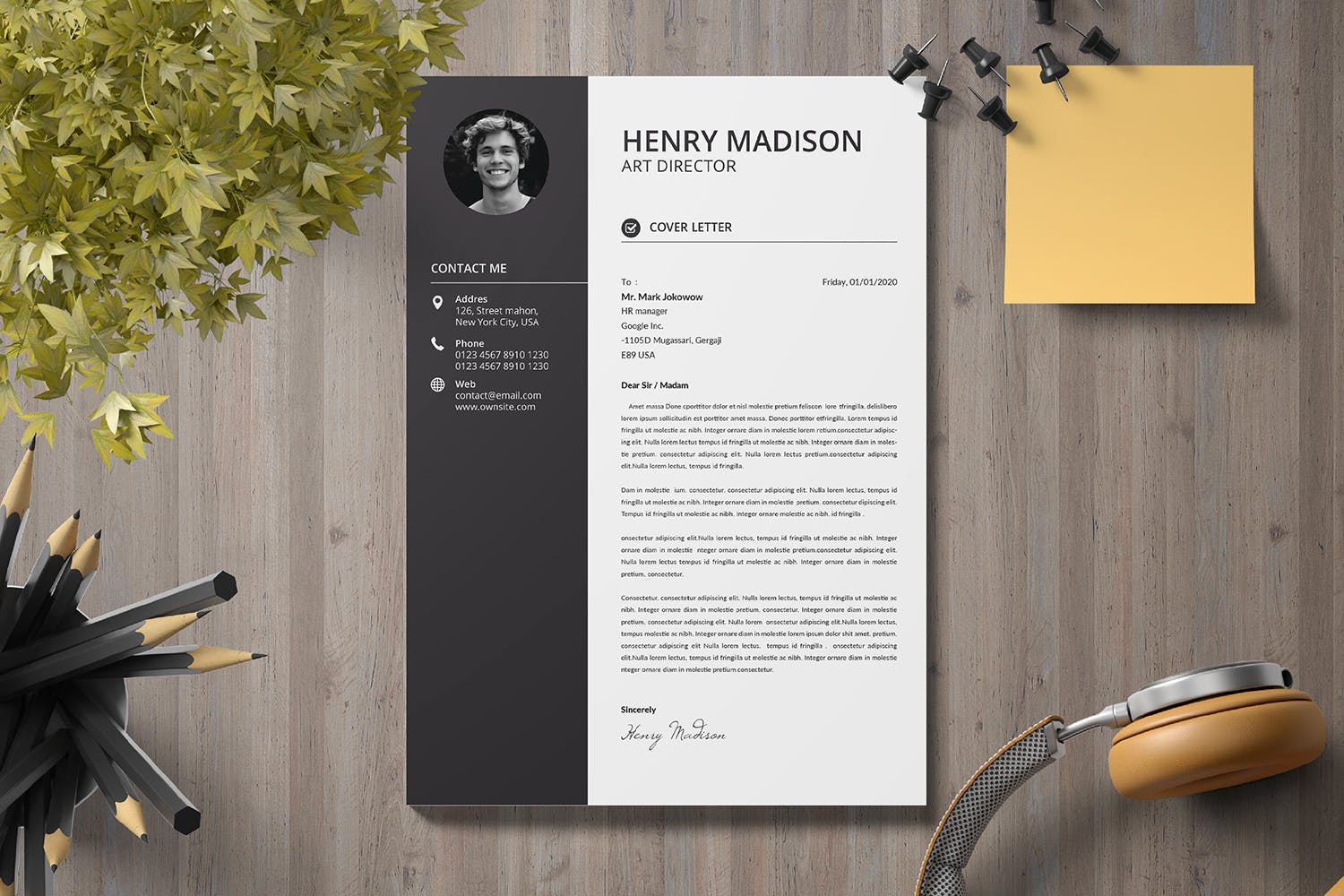 黑白配色两列式个人简历表设计模板 CV Resume插图(1)