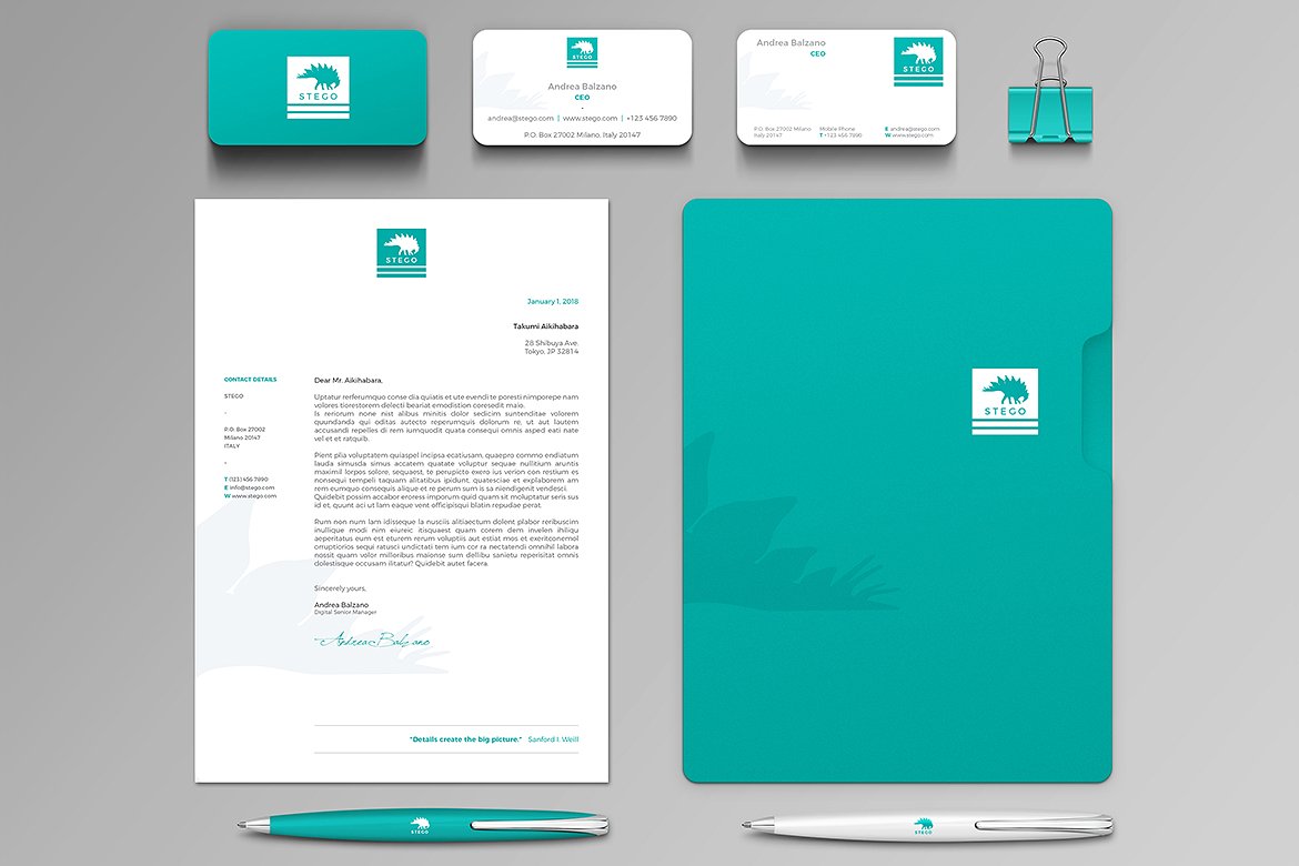 专业有创意的时尚高端VI提案文具套装插图(1)