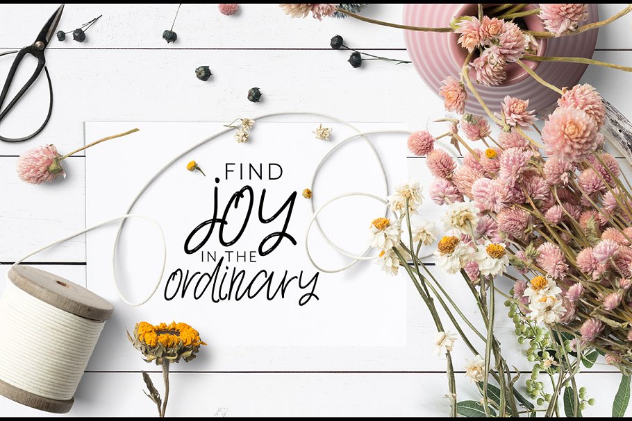 豪迈流畅钢笔英文书法字体下载 Joy Flight Script Font插图(2)