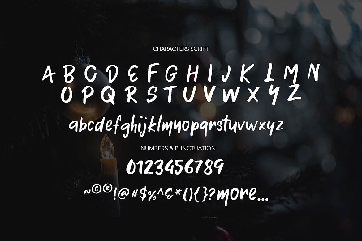 英文二重奏手写字体&圣诞节涂鸦设计素材 Silent night – Font Duo & Doodle插图(3)