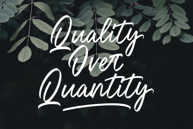 绘画画笔英文书法字体 Oregon Script MS插图(3)