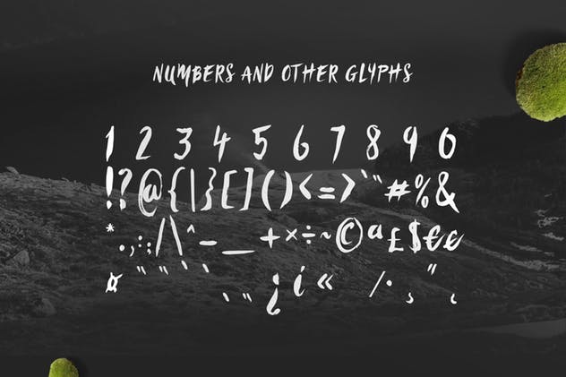 时尚/美容/食品/服装和杂志设计绝配手写英文字体 Sanös Extended Script Font插图(6)