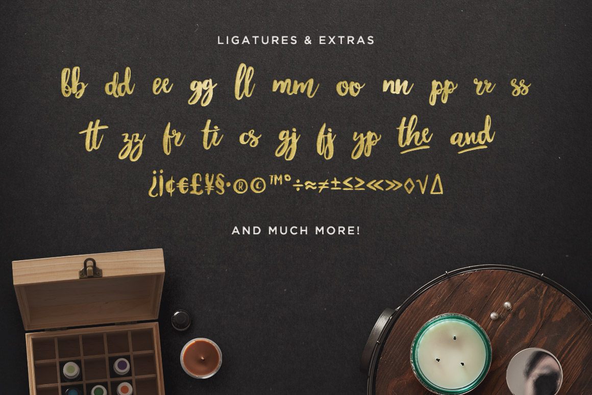 手写英文字体 Maloishe Brush Script Font（含网页字体）插图(4)