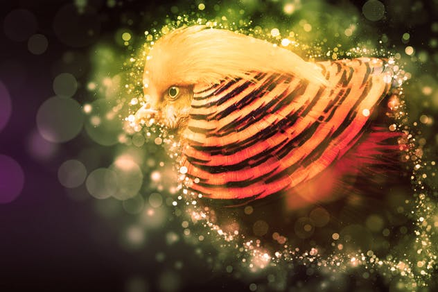 动态圆形光晕效果PS动作 Circles Animation Photoshop Action插图(6)