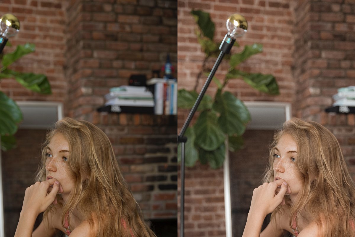 温暖棕褐色效果照片LR预设插图(3)