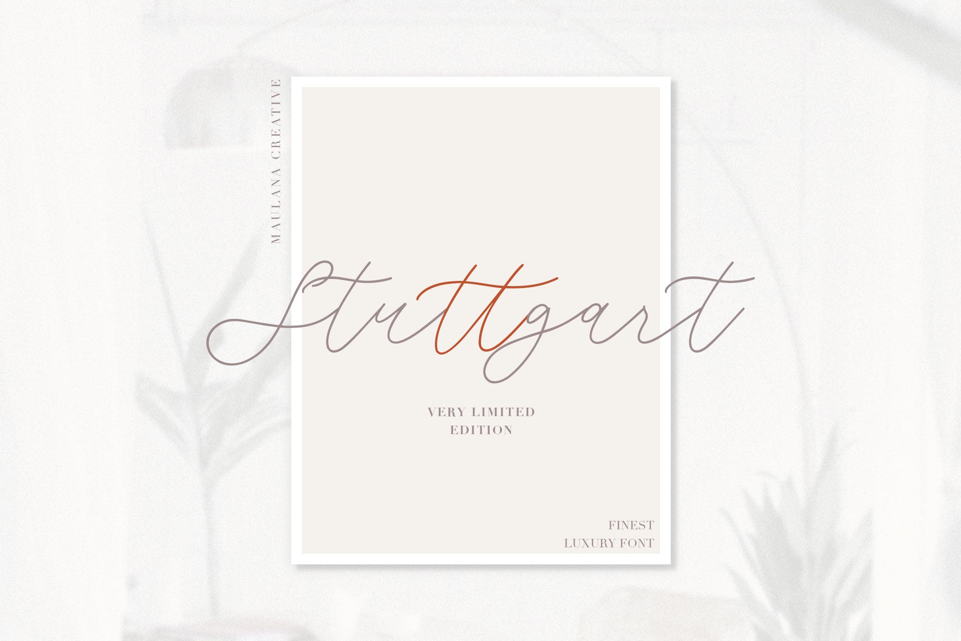 飘逸连笔钢笔书法字体下载 Weisston – Script Font插图(4)