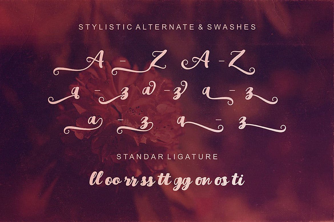 创意英文书法粗体字体下载 Youth Script Font插图(2)