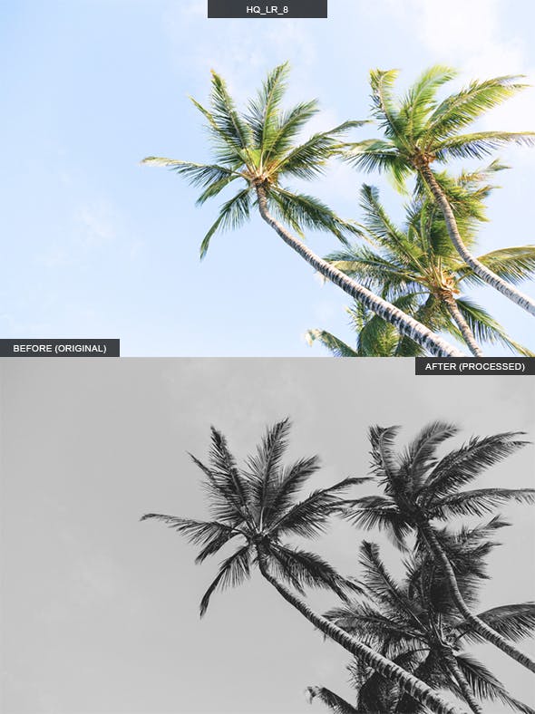 10款现代生活摄影Lightroom调色预设 10 HQ Lightroom Presets插图(8)