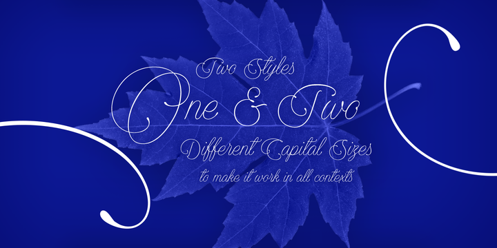 优雅自然英文书法字体 Encina Script Font Family插图(1)