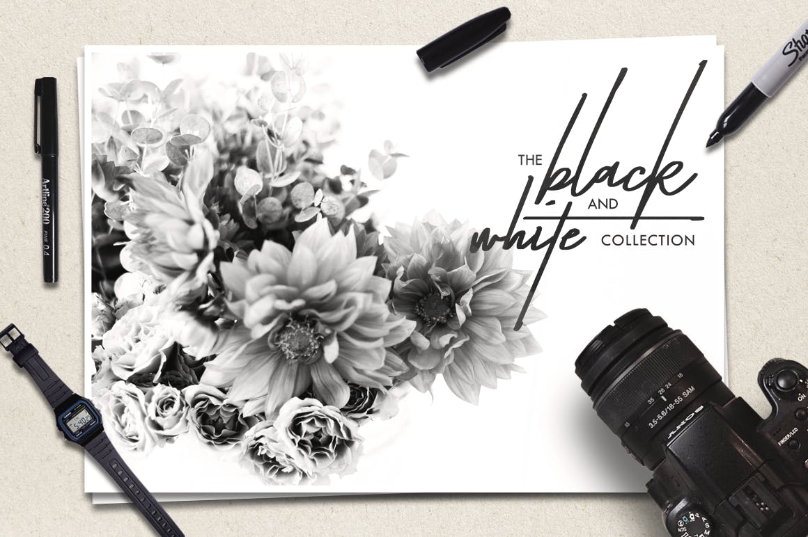 英文画笔签名艺术字体下载 Taken by Vultures (Script)插图(2)