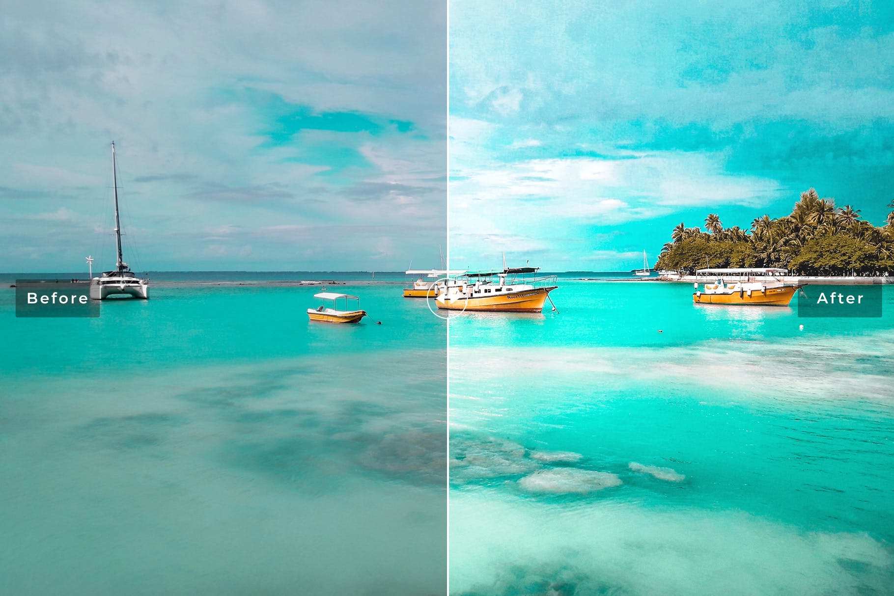 浅绿色&棕色色调照片处理素材库精选LR预设 Aquamarine Mobile & Desktop Lightroom Presets插图(2)