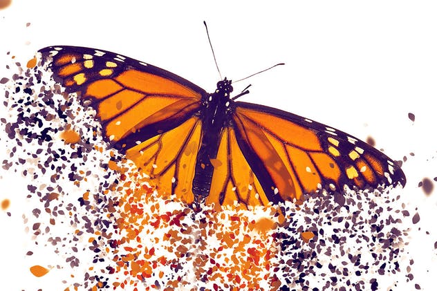 花瓣飞舞动感人物照片PS动作 Blossoms Photoshop Action插图(7)