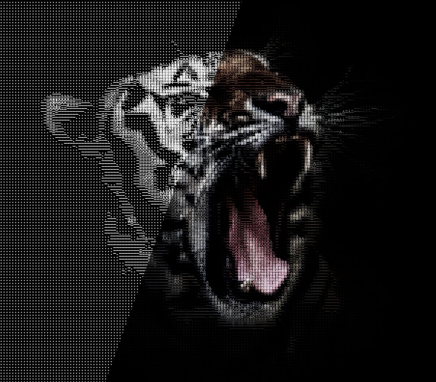 图片转文字组成特效PS脚本 Symbolizer + Symbols Checker CS4+ Photoshop Script插图(4)