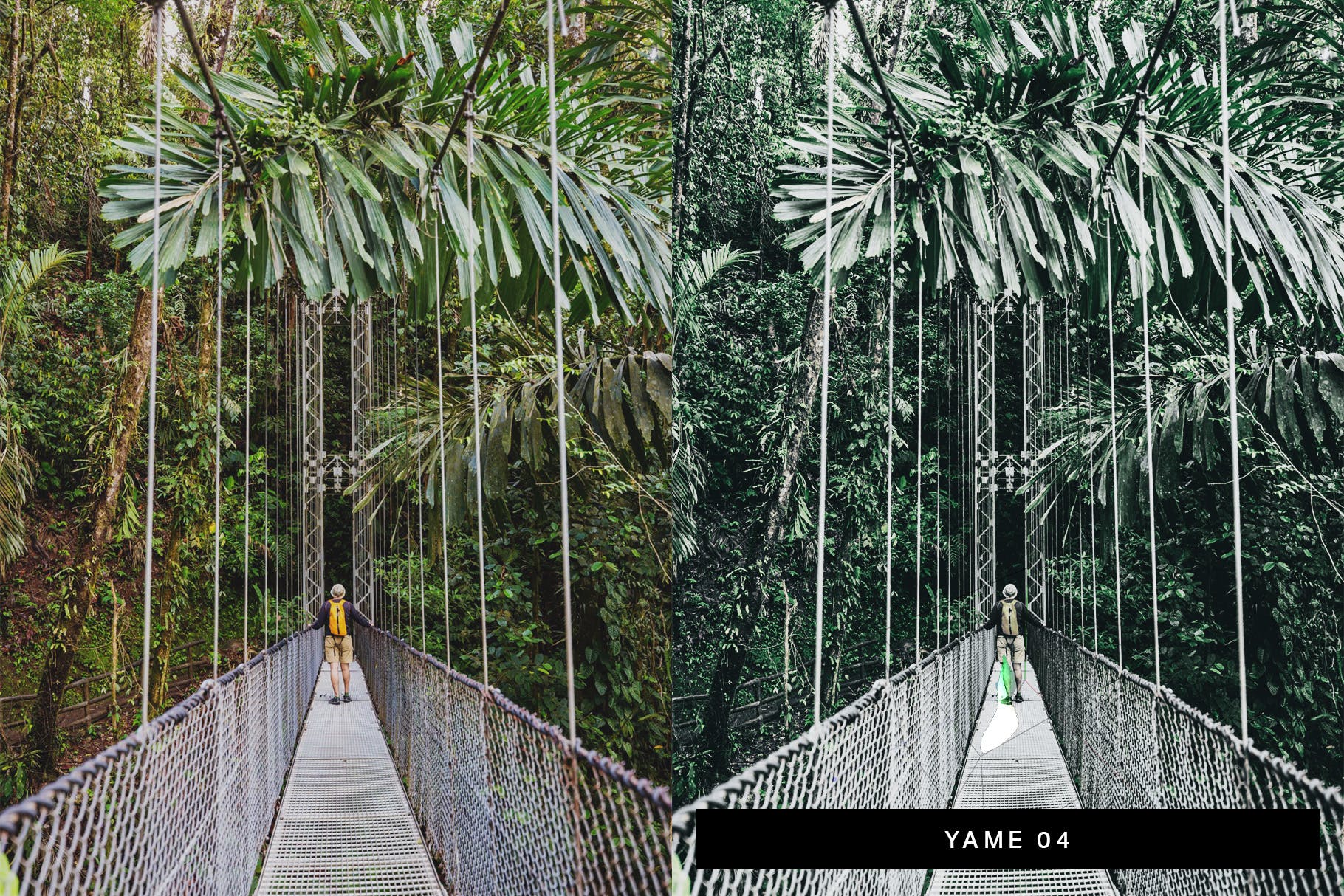 50款绿色背景摄影后期调色处理素材库精选LR预设 50 Matcha Lightroom Presets and LUTs插图(5)