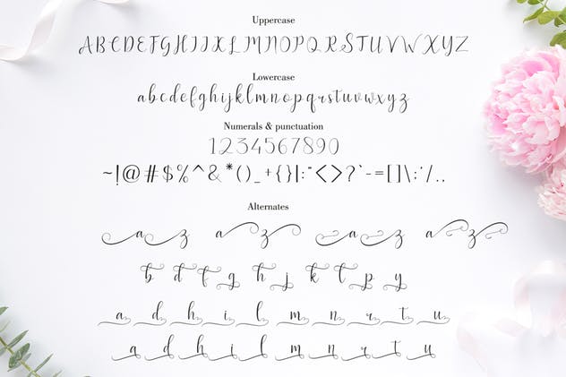 女性品牌设计绝配手写英文字体 Bentley Script插图(5)