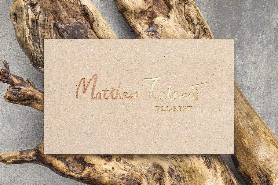 英文手写体字体+样机+笔刷 Tetyou Script + Mock up + Brushes插图(6)