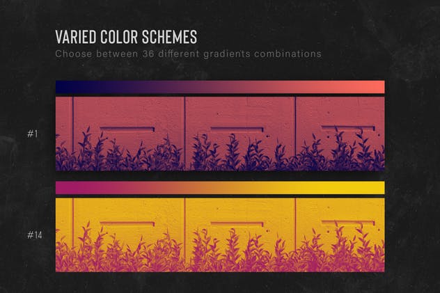 双色调照片调色PS动作 Duotone Photoshop Actions插图(1)