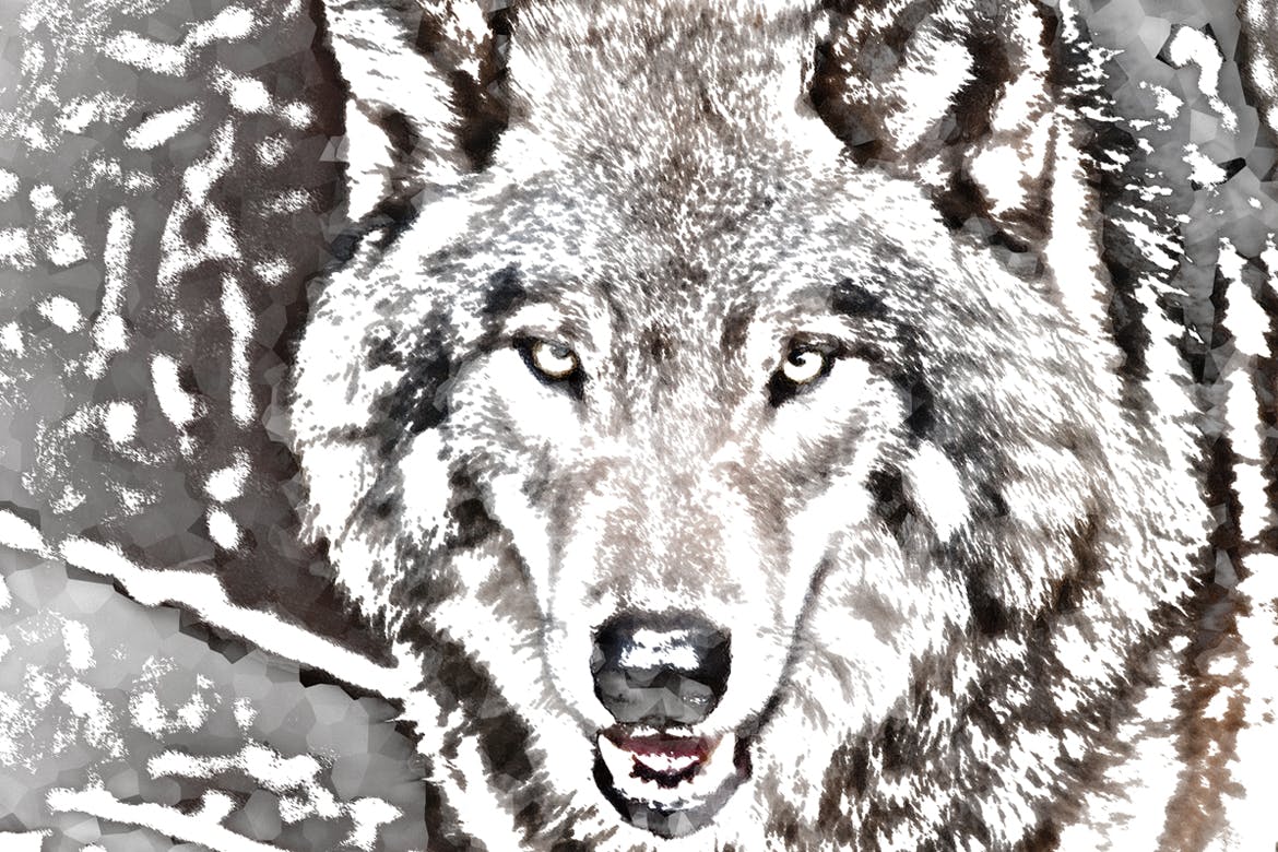 毛玻璃素描效果PS艺术照片动作 Glass Sketch Action插图(2)