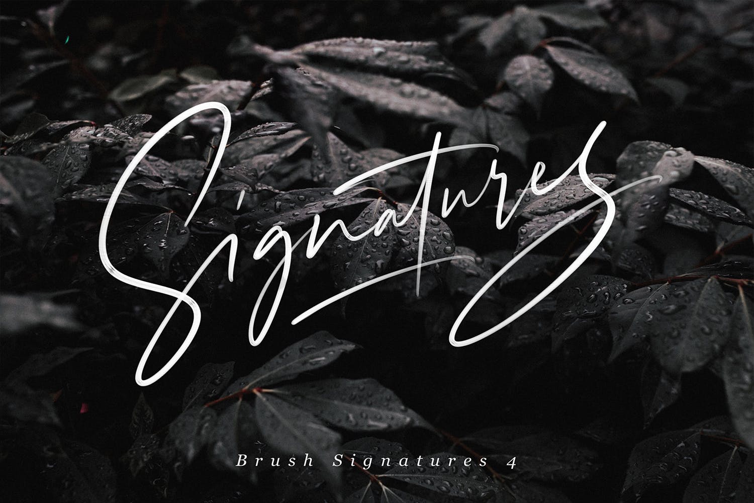 Procreate应用艺术书法字体笔刷合集插图(3)