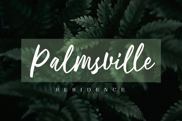 现代优雅书写风格英文手写字体 Ballerina | Script Font MS插图(3)