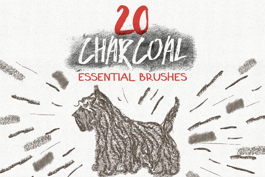 各种类型笔画AI笔刷大杂烩[水彩笔/刷笔/铅笔/木炭笔/记号笔] Essential Vector Brushes Collection插图(2)