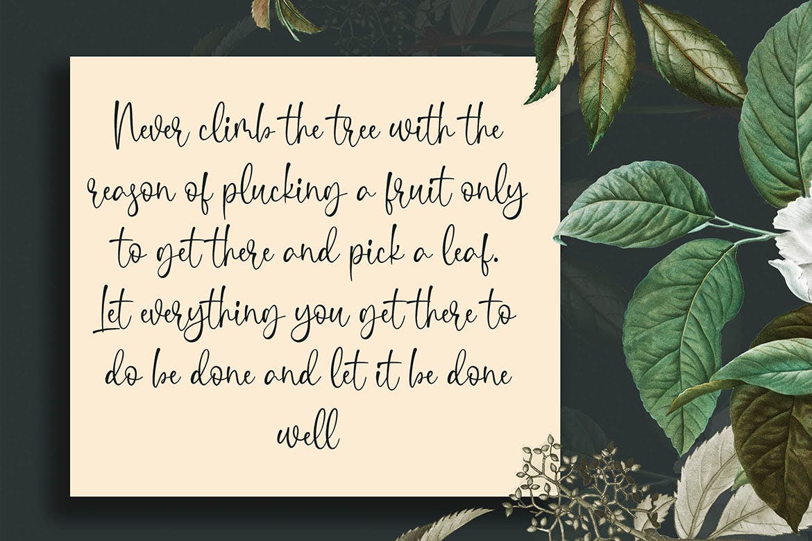 英文连笔书法字体素材库精选 Shelina Beauty Script Font插图(4)