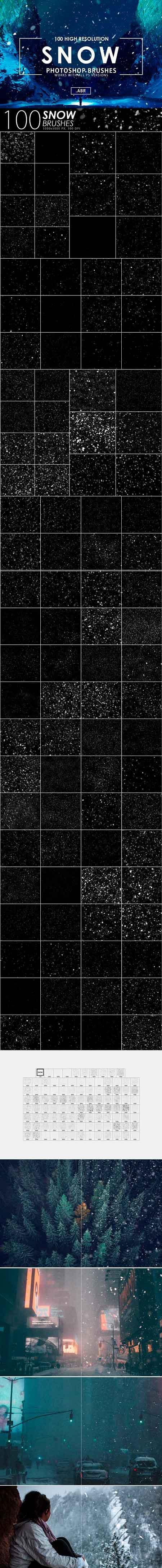 100个逼真雪花的PS笔刷 100 Snow Photoshop Brushes [abr]插图