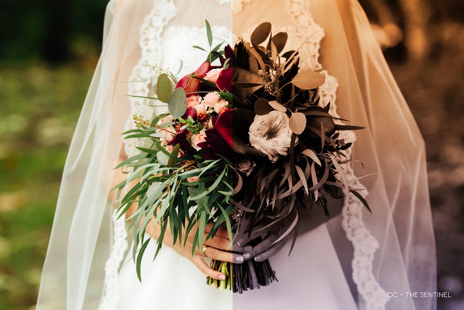 250款双色调照片效果PS动作 Duotone PS Actions Super Bundle插图(2)