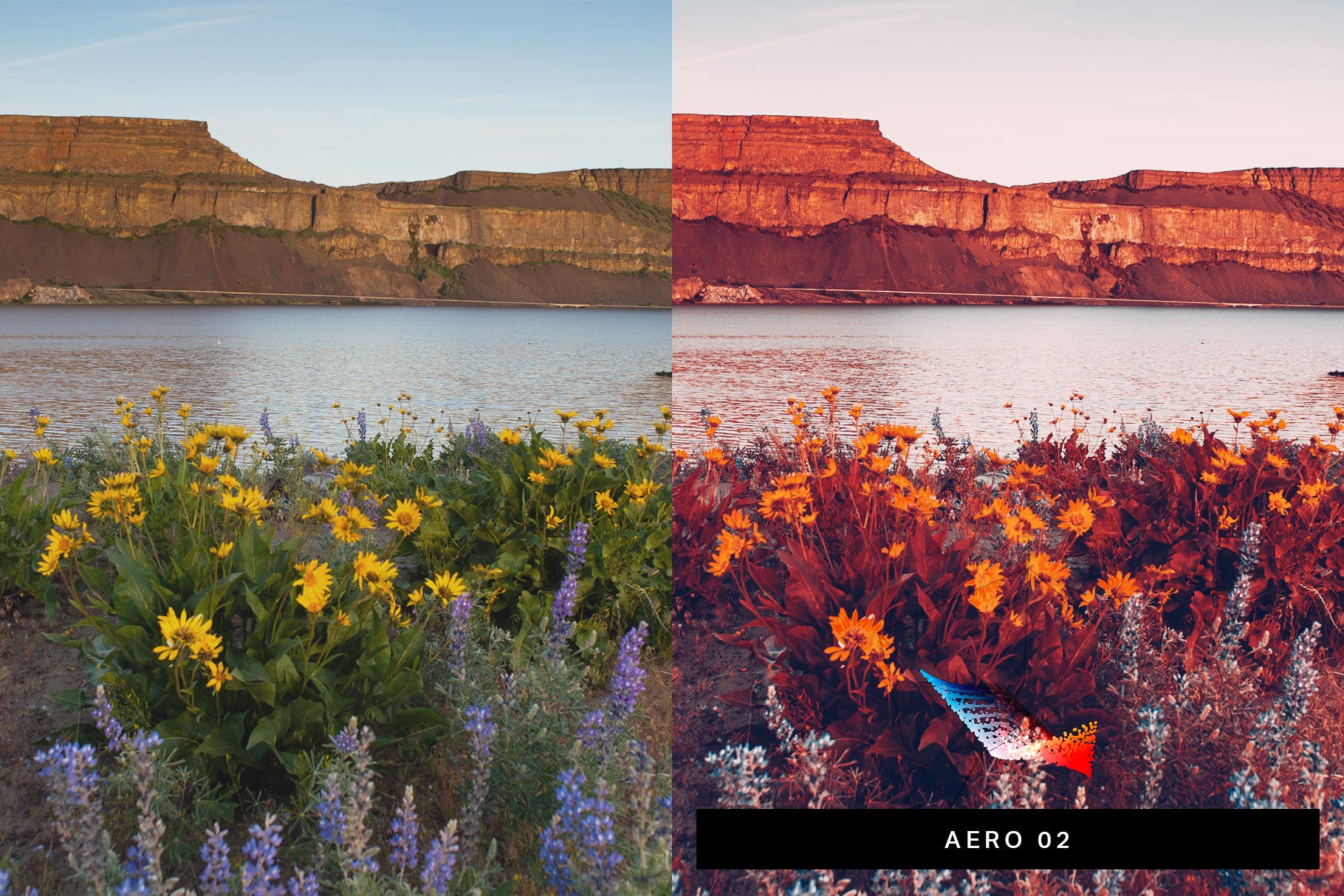 50款仿数字红外照相机&模拟红外胶片效果Lightroom调色预设 50 Infrared Vibe Lightroom Presets and LUTs插图(1)