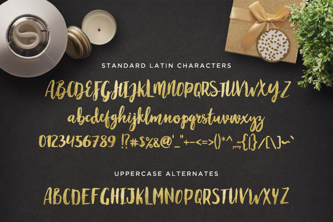 手写英文字体 Maloishe Brush Script Font（含网页字体）插图(1)