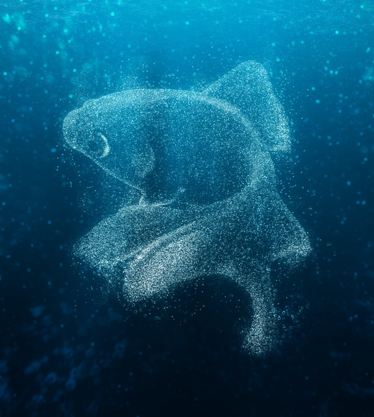 创意水下气泡画艺术效果一键生成PS动作 Bubbles CS4+ Photoshop Action插图(1)