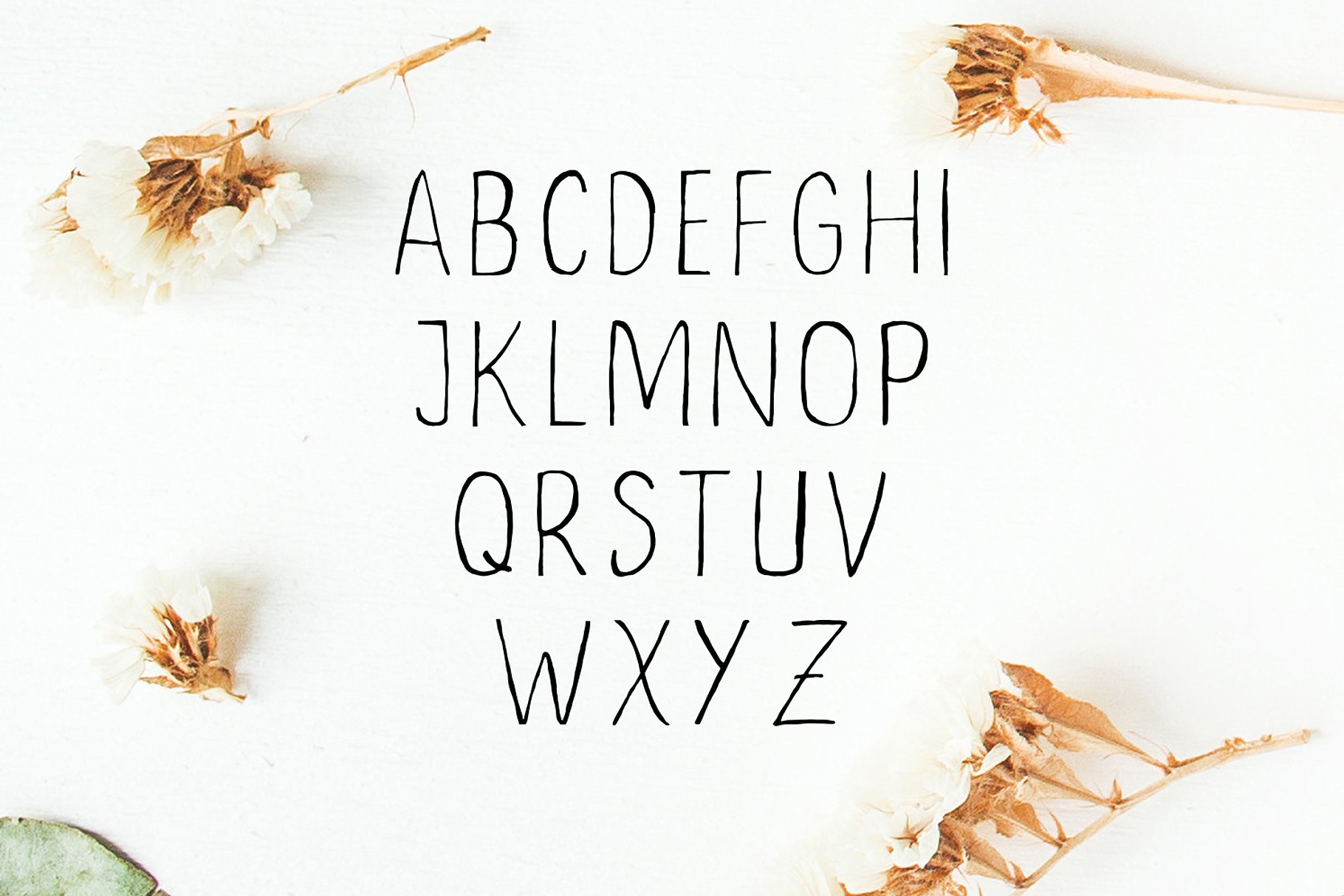 优雅的手写英文字体及手绘花叶花圈素材 Ceica Handwritten Duo Font插图(3)